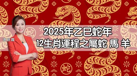 2025 年生肖|2025蛇年生肖運程蘇民峰｜屬雞人緣好、職場升遷機會大但要小 